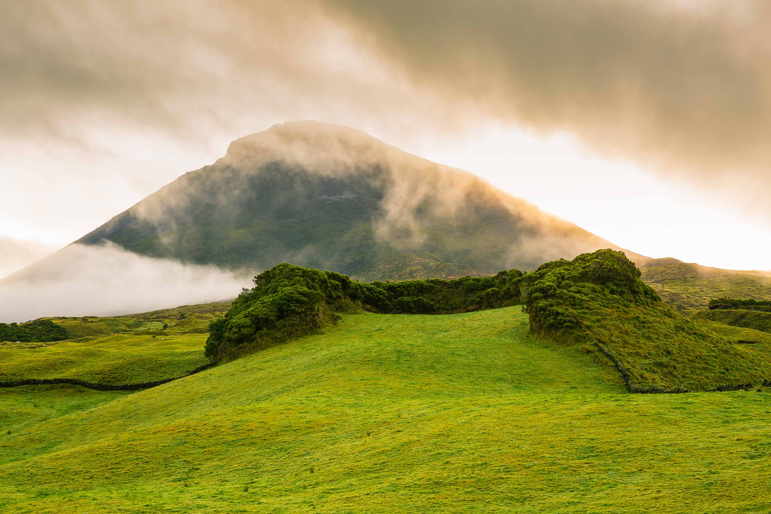 Mount Pico shrouded in mist at sunrise