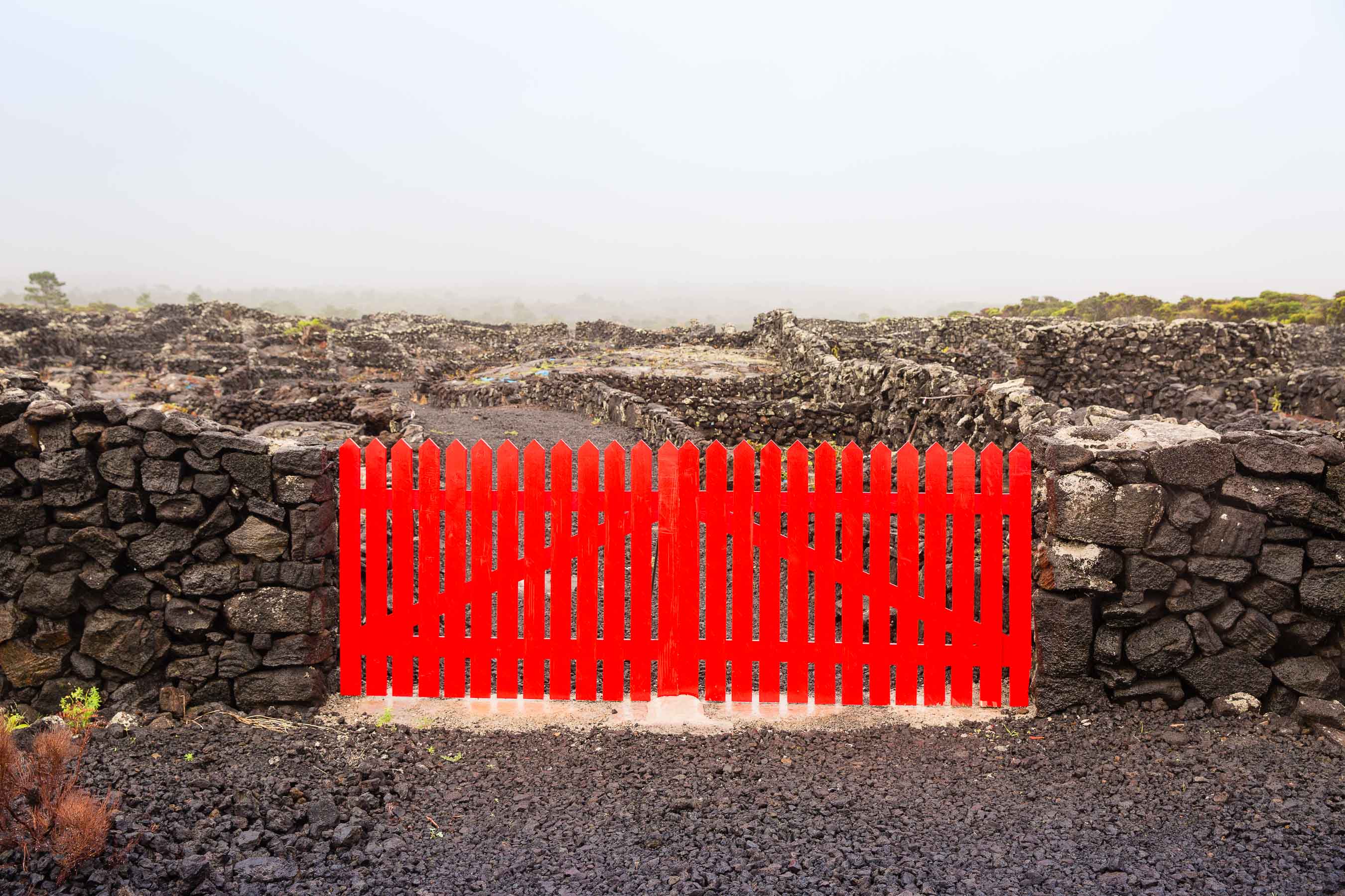 Red vineyard gate Pico, Azores